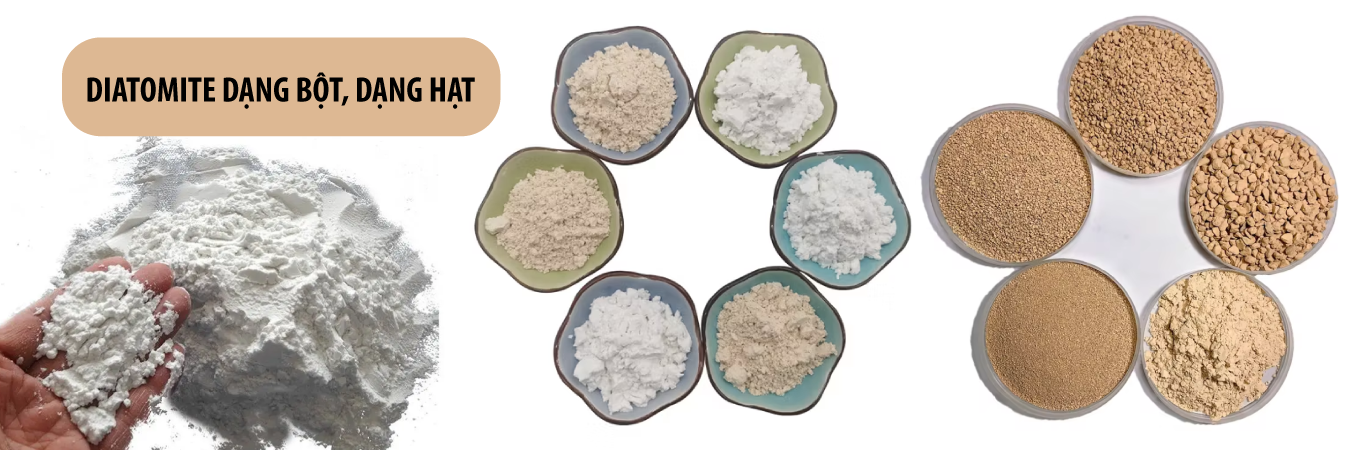 diatomite diatomite