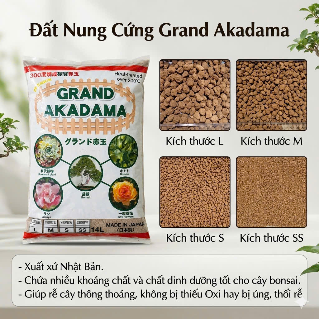 đất nung cứng grand akadama