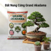 đất nung cứng