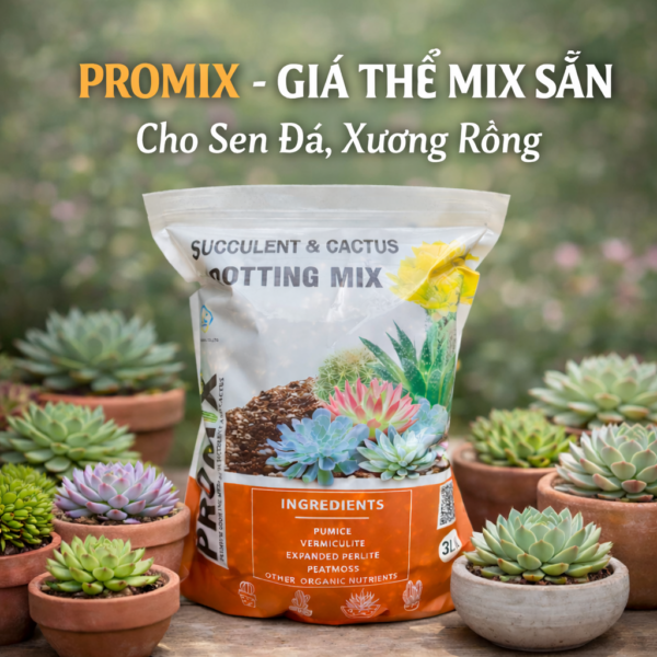 Giá thể trộn sẵn trồng sen đá xương rồng