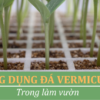 Công Dụng Và Cách Sử Dụng Vermiculite Trong làm Vườn