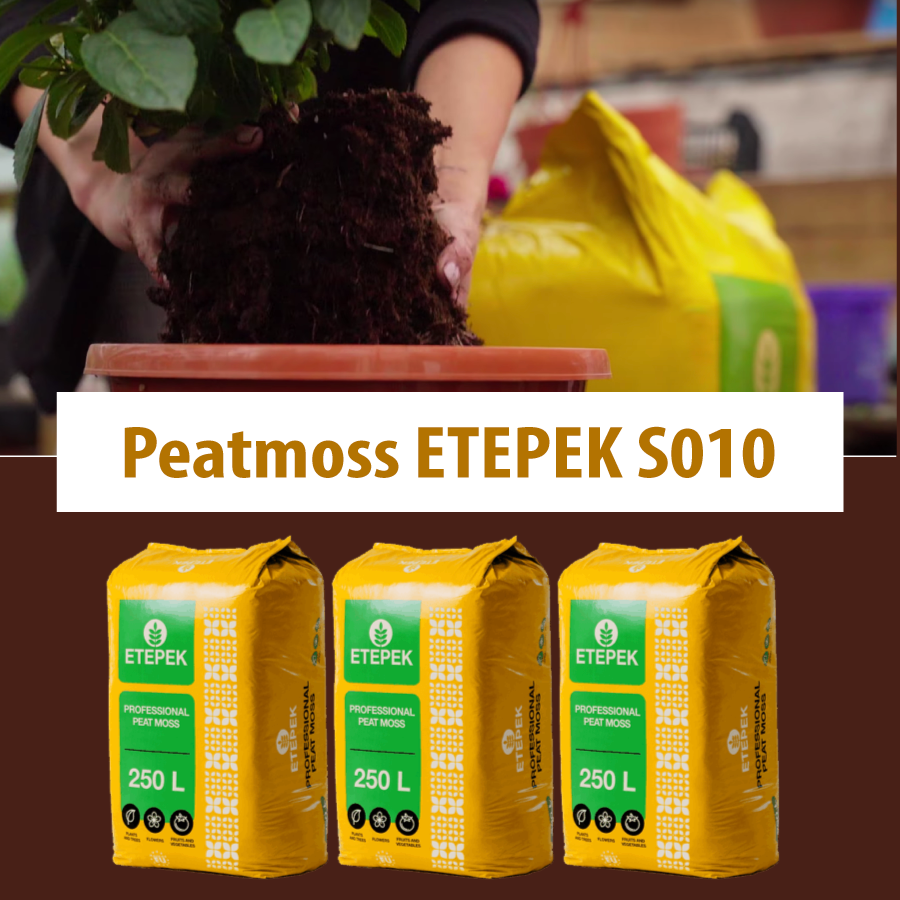 giá thể ươm giống peatmoss Eteprk 1010