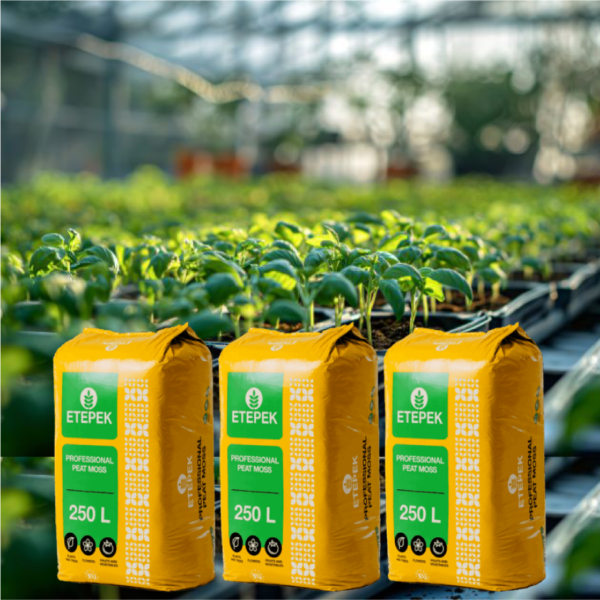 Giá thể gieo hạt Peatmoss Etepek