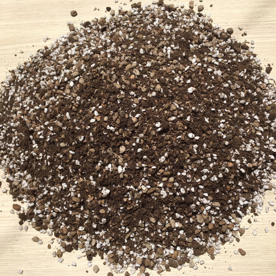Giá thể trồng sen đá