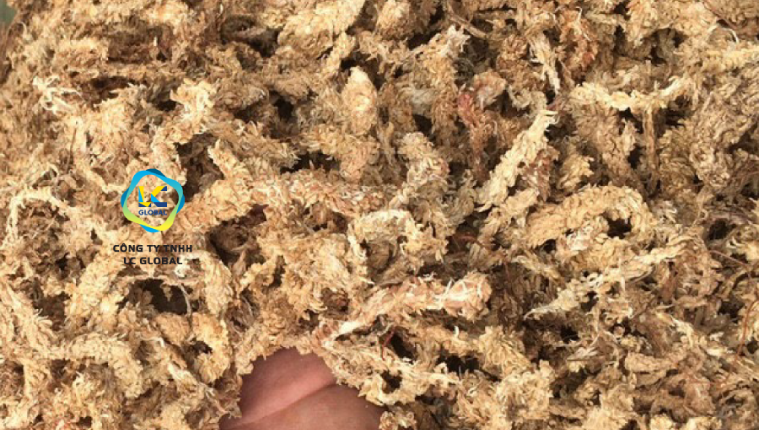 reu-chile-trồng-lan