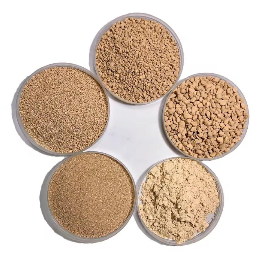 Diatomite dạng hạt, dạng bột