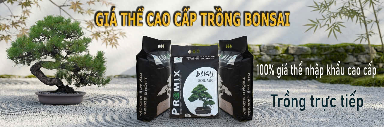 giá thể mix sẵn trồng bonsai